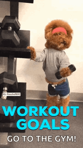Go To The Gym Dog Workout Goals GIF