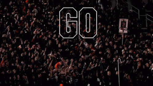 Go Utes Fans Cheering Flashing Digital Arts GIF