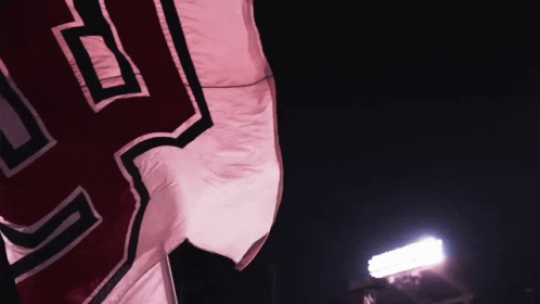 Go Utes Utah Utes Flag Fluttering GIF