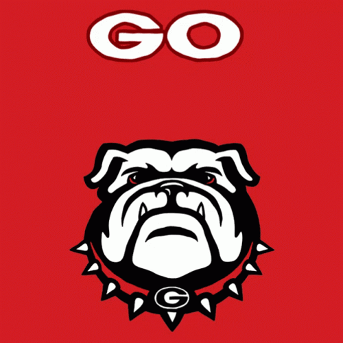 Go Vote Go Dawgs GIF