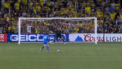 Goal Blocked Penalty Kicks GIF