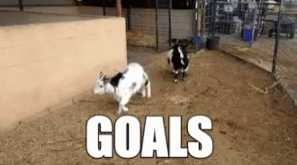 Goat Jumping Goals GIF