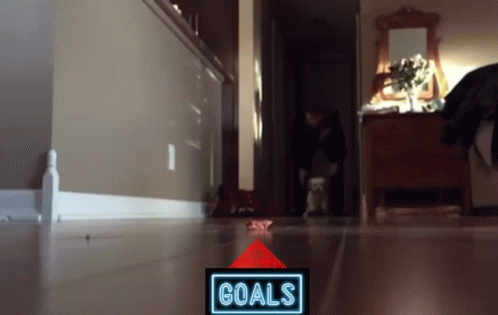 Dog Running For Treat Goals GIF
