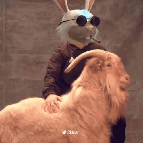 Goat And Lionel Messi With Rabbit Head GIF