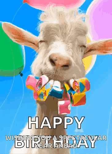 Goat Birthday Meme GIF