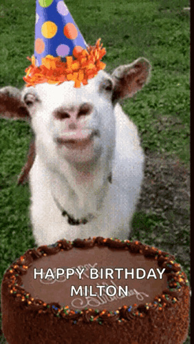 Goat In Party Hat Saying Happy Birthday Milton GIF