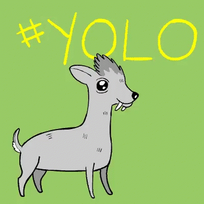 Goat Jumping Yolo GIF