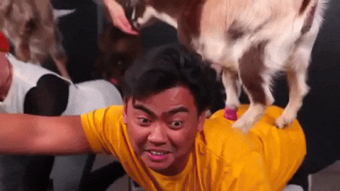 Goat On My Back GIF