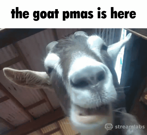 Goat Pmas Here GIF
