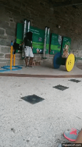 Goat Rolling Wooden Spool GIF