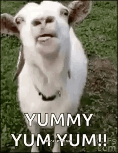 Goat Saying Yummy Yum Yum