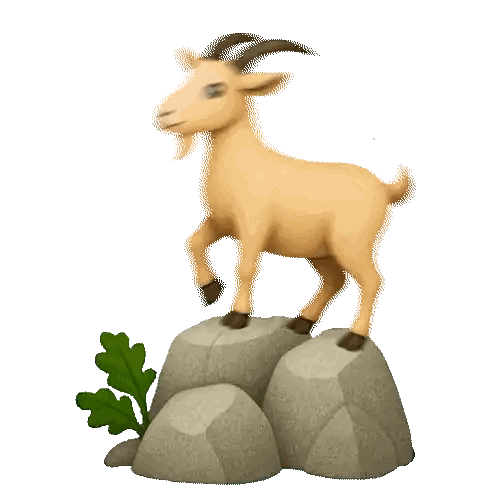 Goat Standing on Rock