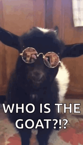 Goat Wearing Sunglasses Saying Who Is The Goat GIF