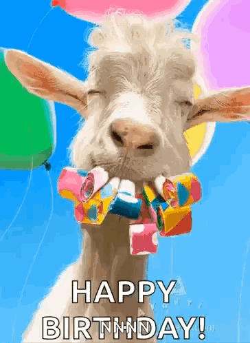 Goat With Balloons and Confetti Saying Happy Birthday