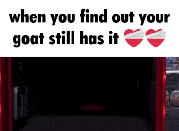 Goat With It Is Written Above Red Object GIF