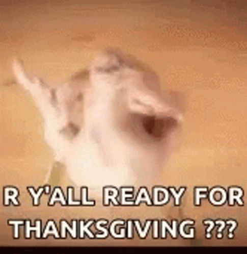 Gobble Gobble Chicken Dance GIF