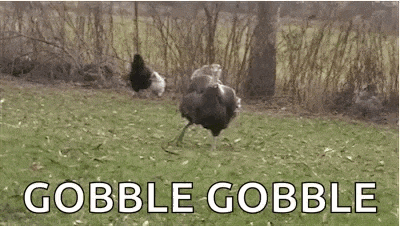 Gobble Its Gif GIF
