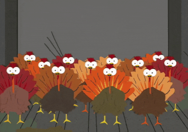 Gobble Ten Turkeys Confused GIF