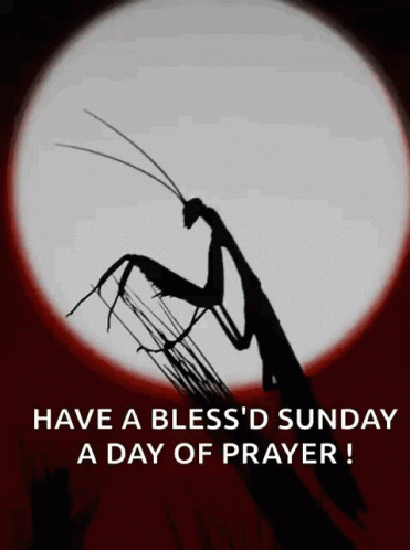 God Answers Prayers Faith and Trust