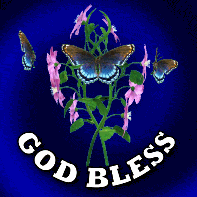 God Bless Butterflies And Flowers GIF