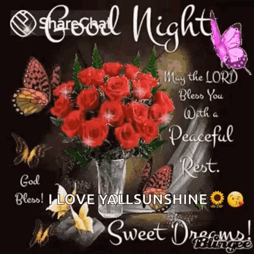 God Bless You Peaceful Rest Sweet Dreams GIF