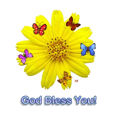 God Bless You Sunflower And Butterflies GIF