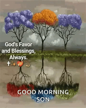 God's Favor Blessed Good Morning Wednesday GIF