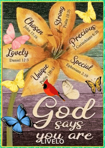 God Says You Are With Butterflies And Flowers GIF