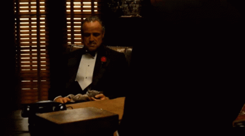 Godfather Holding Cat While Seating GIF