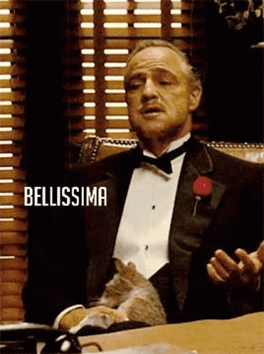 Godfather Looking Up While Holding Cat GIF