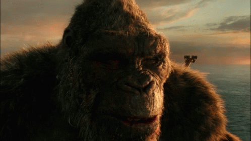 Godzilla 2021 And Kong GIF