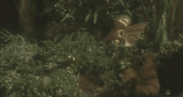 Godzilla Godzilla Vs King Ghidorah Gif GIF