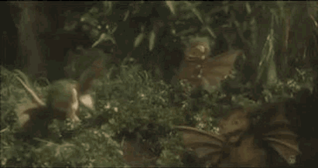 Godzilla Godzilla Vs King Ghidorah Gif GIF