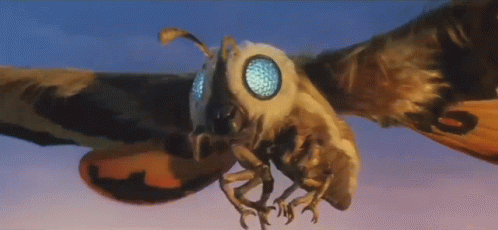 Godzilla King Of The Monsters Mothra GIF