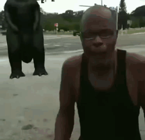 Godzilla Minus One Pixelated Meme GIF