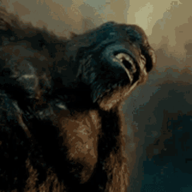 Godzilla Vs Kong Angry Titan GIF