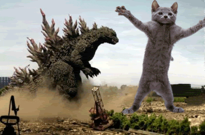 Godzilla Watching Cat Dance GIF