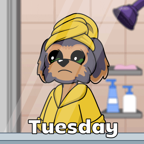 Going Up On A Tuesday Bodoggo Cartoon GIF