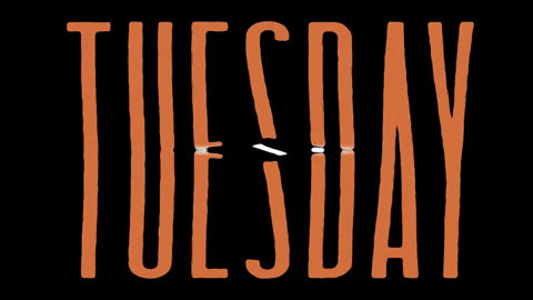 Going Up On A Tuesday Orange Rip GIF