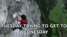 Going Up On A Tuesday Rock Climbing GIF