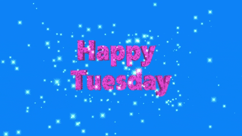 Going Up On A Tuesday Sparkling Design GIF