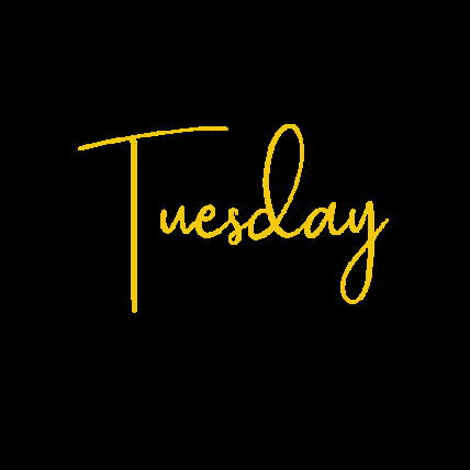 Going Up On A Tuesday Yellow Black Design GIF