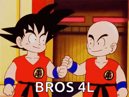 Goku and Krillin Fist Bump Bros 4L
