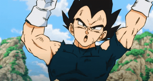 Goku And Vegeta Practice Fusion GIF
