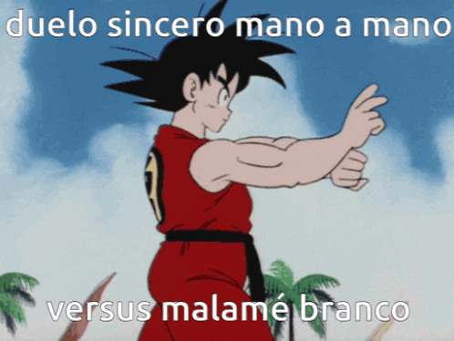 Goku Duelo Sincero Mano a Mano Versus Malame Branco