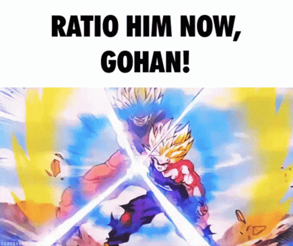 Goku Kamehameha Ratio Him Now GIF