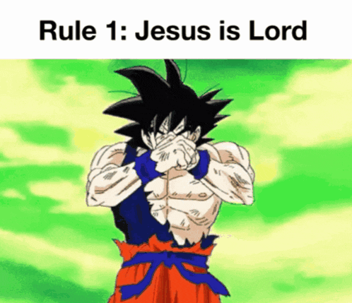 Goku Rule 1 Gif GIF