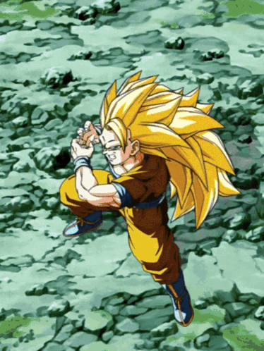 Goku Ssj3 Vegeta Mock Fight Practice GIF