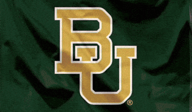 Gold B and U Logo on Green Background