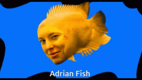 Gold Fish With Face Swimming GIF